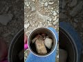 Come Take A Hike With Me; What's In The Mug?