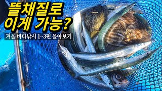 Let's catch the best seafood in the winter seas of Korea!