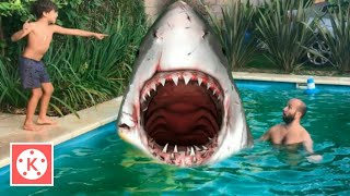 Shark Attack Visual effects KINEMASTER tutorial @ShorifulCreation screenshot 1