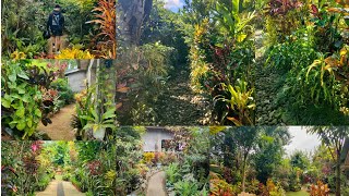 LAST FULL GARDEN TOUR//5 IN 1 GARDEN IDEAS UPDATES 2023//ONE OF THE TOP GARDEN IDEAS I'VE EVER SEEN