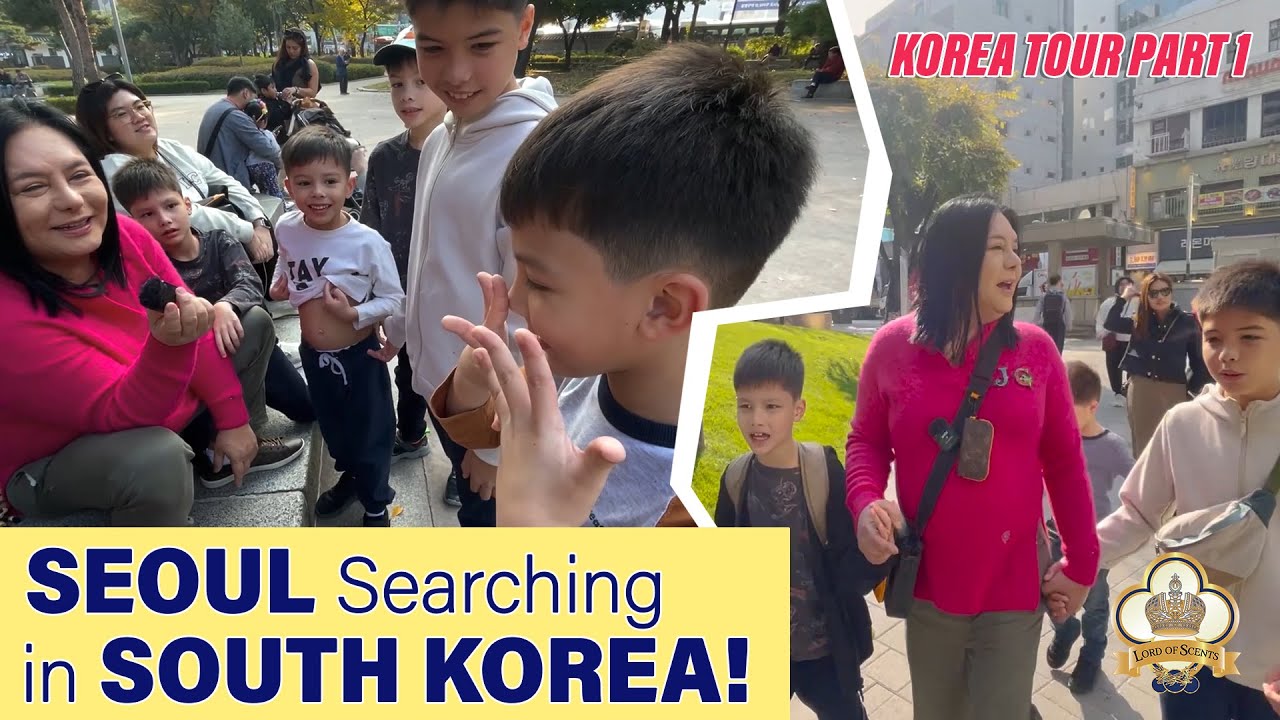 Сеул ищет в Южной Корее! | Тур по Корее, часть 1 | Официальный представитель Джоэла Круза