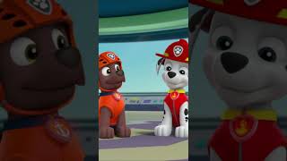 If You Cant Stop, Hop - Paw Patrol