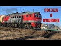 Разные поезда на линии Пушкин - Павловск