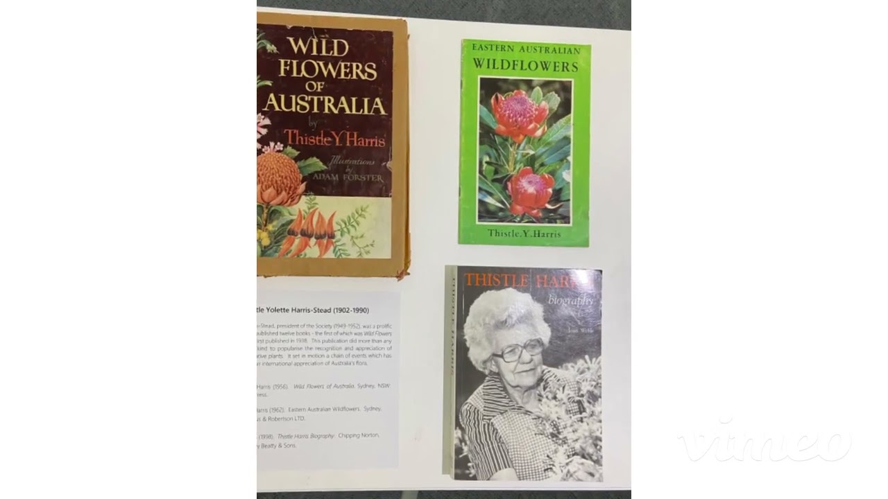 Australian Wildlife Week Art Exhibition 2022 YouTube Australian wildlife week art exhibition 2022 youtube