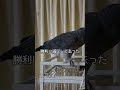 ヒトちゃんと飼主の Alexaのアラームバトル