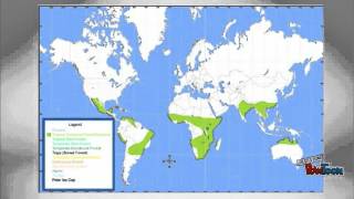 Biomes Project