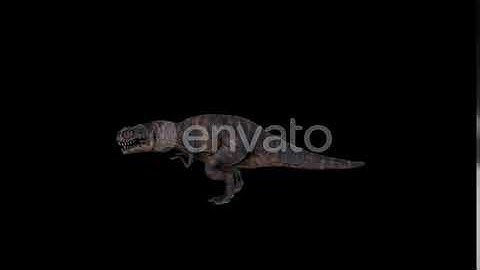 Tyrannosaurus Trex Run | Motion Graphics - Envato elements