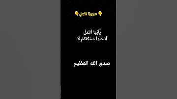 اصوات مريحة للقلب من سورة النمل #اكسبلور #song #العلم #cat #النظافه #القزابري #قطط #تيك_توك #الظروف