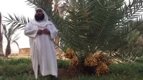دحيم الحماد من أذكار الصباح والمساء 🌿🌼🌷🌲١٤٣٧هـ