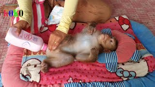 So Calm Mr. Monkey Koko Relax After Bathing For Mom Apply Power And Wear Diaper