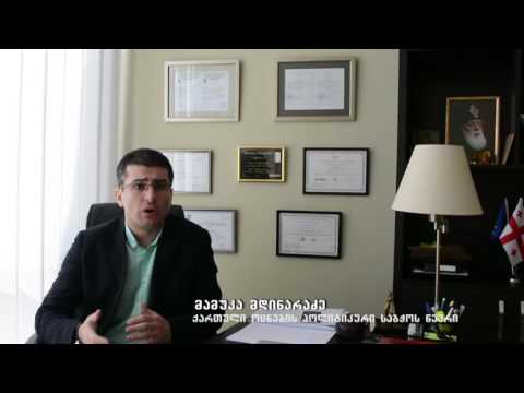 წინასაარჩევნო გარემო