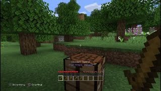 Minecraft: PS4 - Time to Strike, Mine, Farm & MOAR Tools (Trophy Guide)