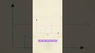 TACOS Beats Catastrophic Forgetting: AI Synapse Breakthrough! #shorts