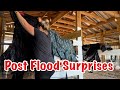 Sanctuary flood cleanup  my first look  texas flooding