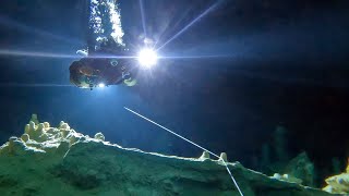 I’m terrified… Cave diving training in Mexico
