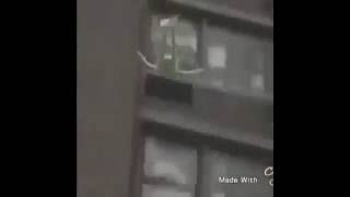 Kermit Jumps Off Buildingim