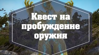 Black Desert. Волшебница. Делаем квест на пробуждение оружия. Black Desert. Волшебница. Делаем квест на пробуждение оружия.