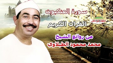 الشيخ محمد محمود الطبلاوي  سورة العنكبوت