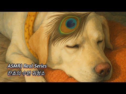 ASMR) Real Series  칸쵸의 수면 귀청소_  Kancho's Sleep Ears Cleaning_  Kanchoの 睡眠耳掃除