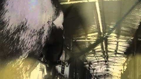 ᏕhᎥnᎥnᎶ✰