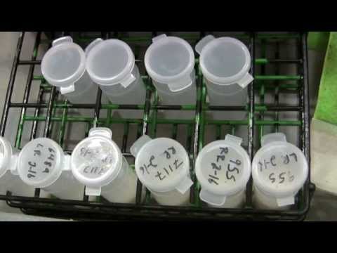 How to Collect an Aseptic Milk Sample