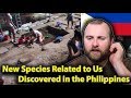 New Species Related to Us Discovered in the Philippines REACTION