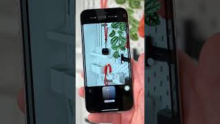 New Camera Control, Test Shots and Photographic Styles on iPhone 16 Pro Max! 📱 #shorts #iphone