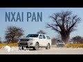 Close Encounters and Jaw-Dropping Scenery! | Grand Tour of Southern Africa, pt.14