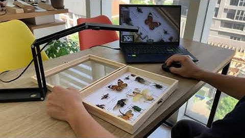 VIISAN 2 in 1 13MP 4K Document Camera and Webcam with AF Lens, 2-in-1 Document Camera & 4K Webcam