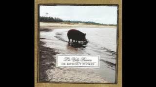 La Vela Puerca | El Viejo | De Bichos y Flores