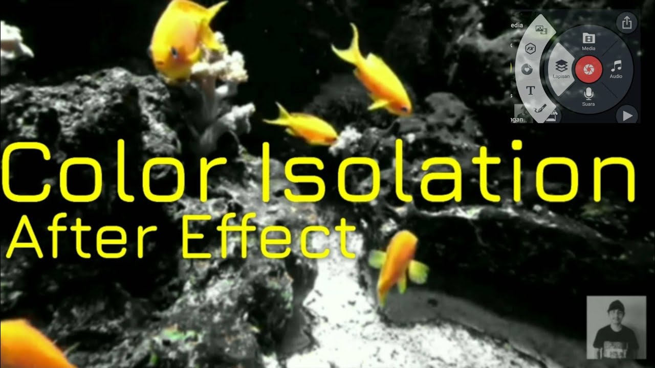 Tutorial Color isolation_after effect in KineMaster_Awasome - YouTube