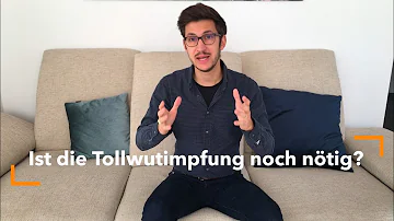 Wie lange darf man Tollwutimpfung Hund überziehen?