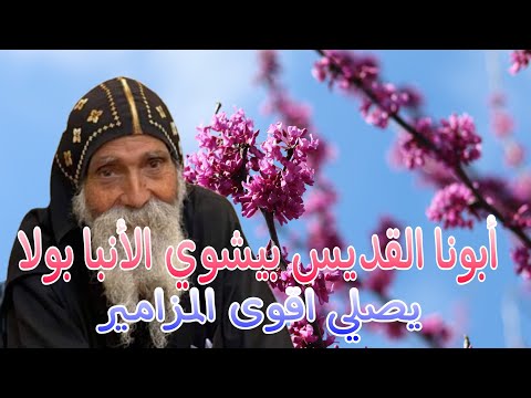 ابونا بيشوي الأنبا بولا يصلي اقوى المزامير  ابونا بيشوي الأنبا بولا يصلي اقوى المزامير