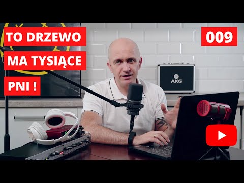 Drzewo o tysiącach pni. I inne niezwykłe drzewa.