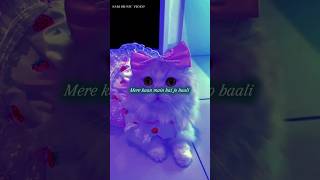 Dil Mera Senti Hai 💖🤗 | Kithe Reh Gaya | Aesthetic status | Lyrics |#lyrics#trendingsong#shorts#love