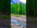 Top beautiful place kumrat valley #youtubeshorts #nature #beatifulnature #swatdistrict #mountains