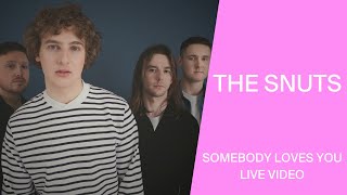 The Snuts - Somebody Loves You (Live from Dundee)