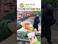 クマの前でパンを食べたら
