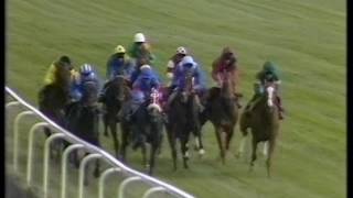 1990 Ladbroke Sprint Cup