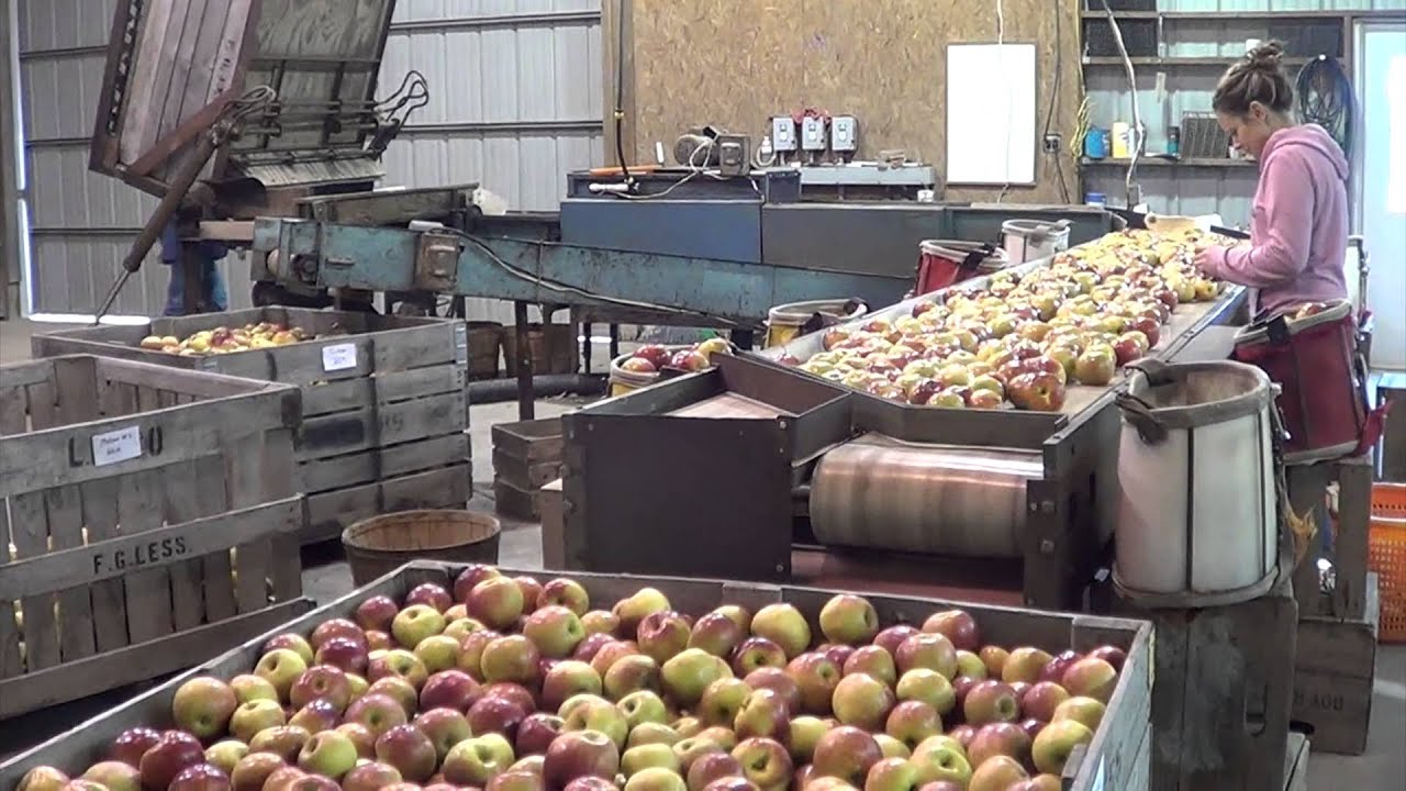 Less & Less Farms Apple Picking 2014 - Greenford Ohio - YouTube