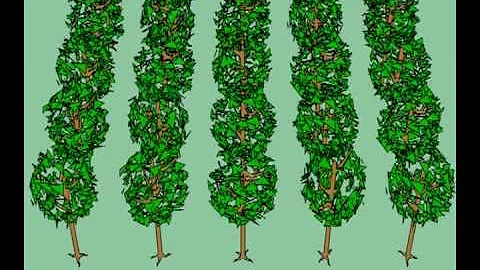 Que parte da célula vegetal é formada principalmente por celulose?