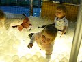 2_11_2008_tunfun