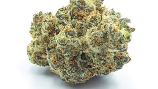 Testing High Potency: 26.30% THC Marijuana Façade #2 Review by Copper State Farms”