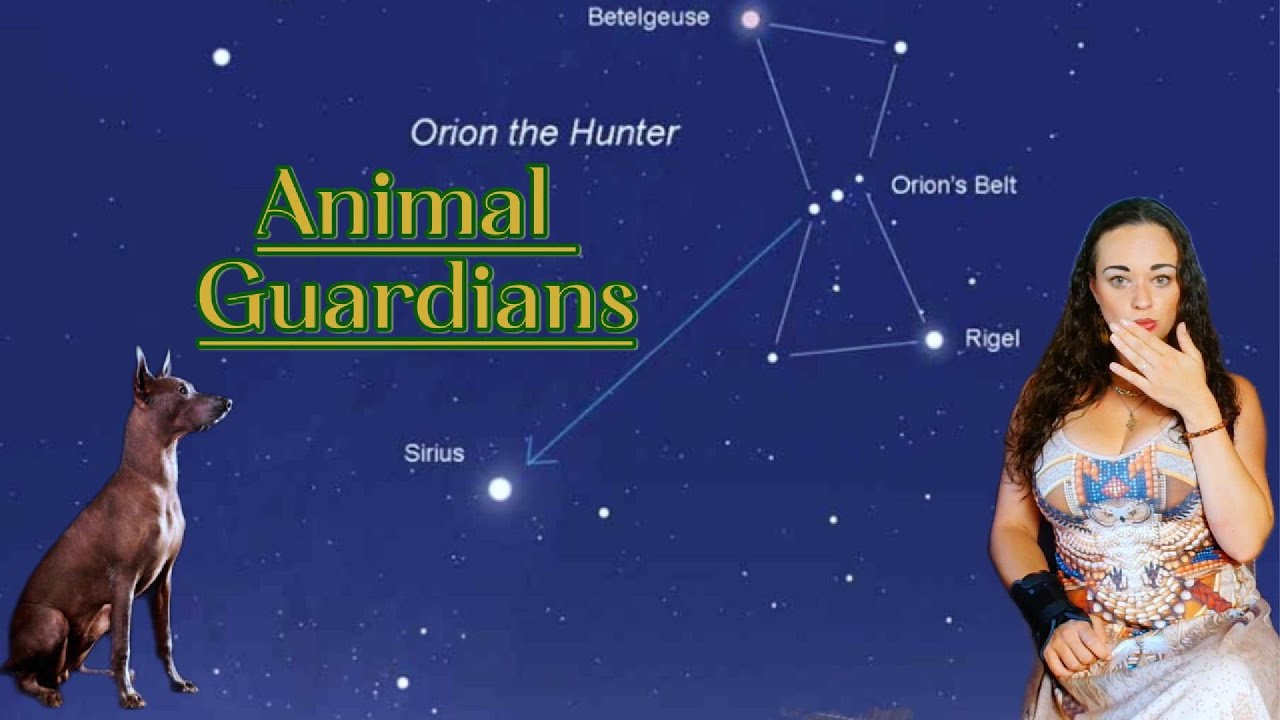 The Dog at the Cosmic Gate: Animal Powers and the Secret Path (part 1)