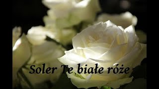 Solero - Te białe róże ( OldSchool 90s  2020)
