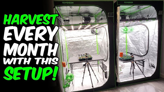 Introduction to GROW TENT VENTILATION - Grow Guide by AC Infinity