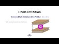 Tech tip 3 part ii shale inhibition versus encapsulation