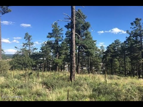 1548 W Lower Coconino Ave, Flagstaff, AZ home video tour