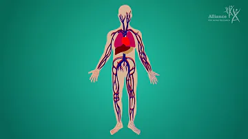 ¿Cuánto dura el dolor en una embolia pulmonar?