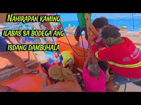Nahirapan kaming ilabas sa bodega ang isdang dambuhala| Mula sa Dagat Pasipiko nagbenta  kaagad kami